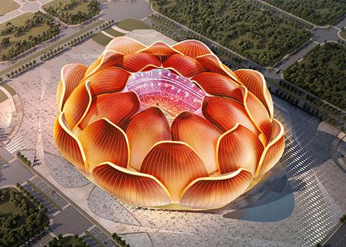 恒大足球场惊艳亮相图,荷花惊艳的瞬间