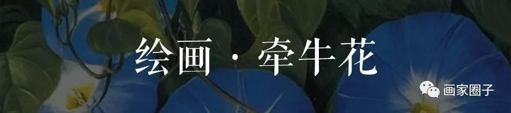 100种漂亮花卉图片,100张漂亮花图