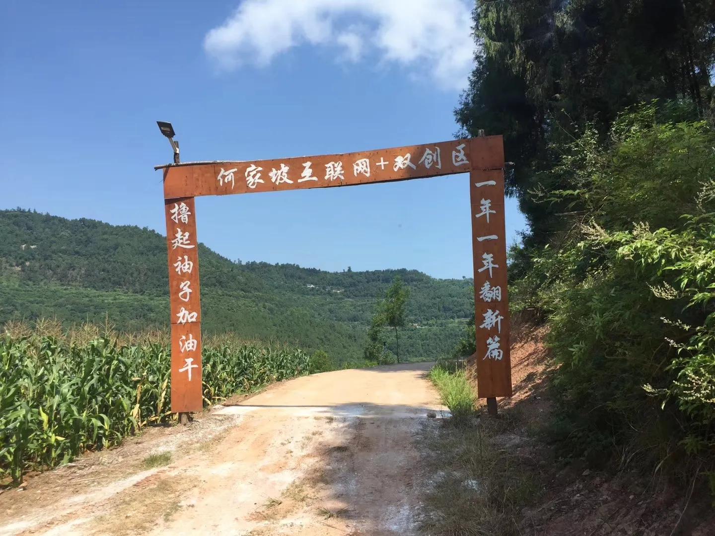 干货分享：乡村振兴中最赚钱的20个农村创新项目，成本低、见效快