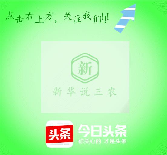 未来5年畜牧养殖业的10大商机！抓住机会你就是赢家