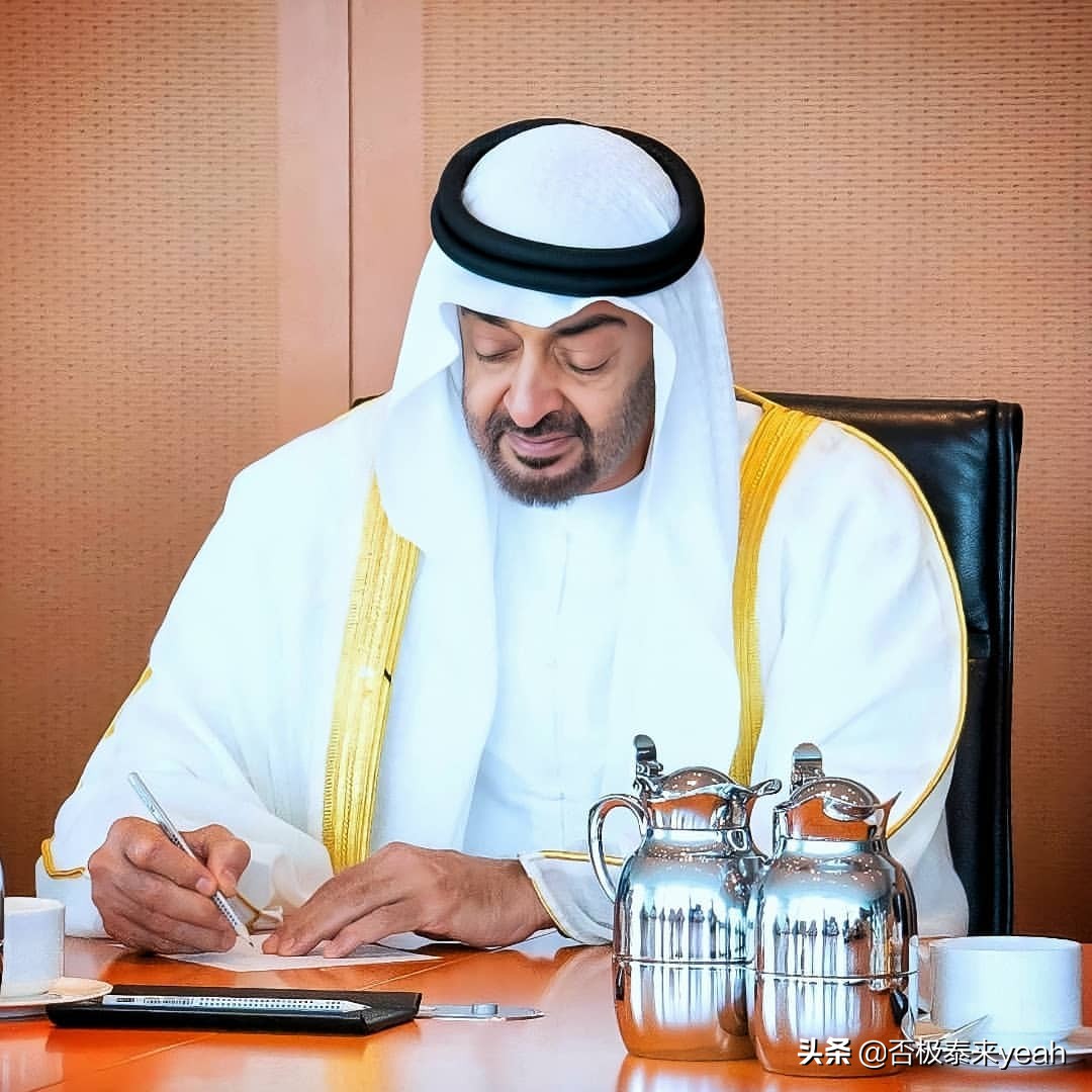 阿联酋最高统治者,阿联酋最高统治者国王