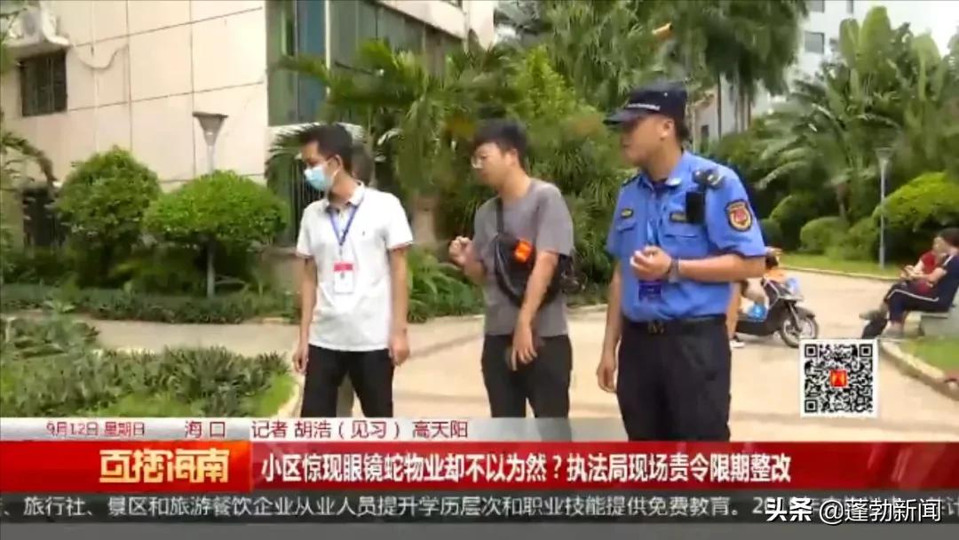 小区里出现蛇物业清理,小区出现蛇物业该如何处理