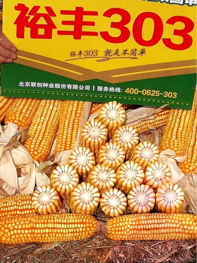 龙头大单品裕丰303的制胜之路,从优秀到卓越的路径图