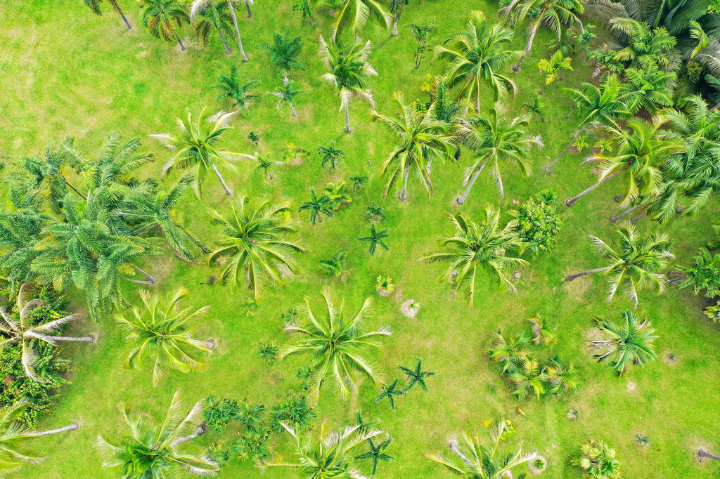 云南大理丽江西双版纳十日游攻略,云南西双版纳深度攻略