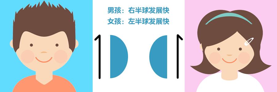 婴儿大脑发展曲线图,男孩和女孩的大脑发育有什么区别