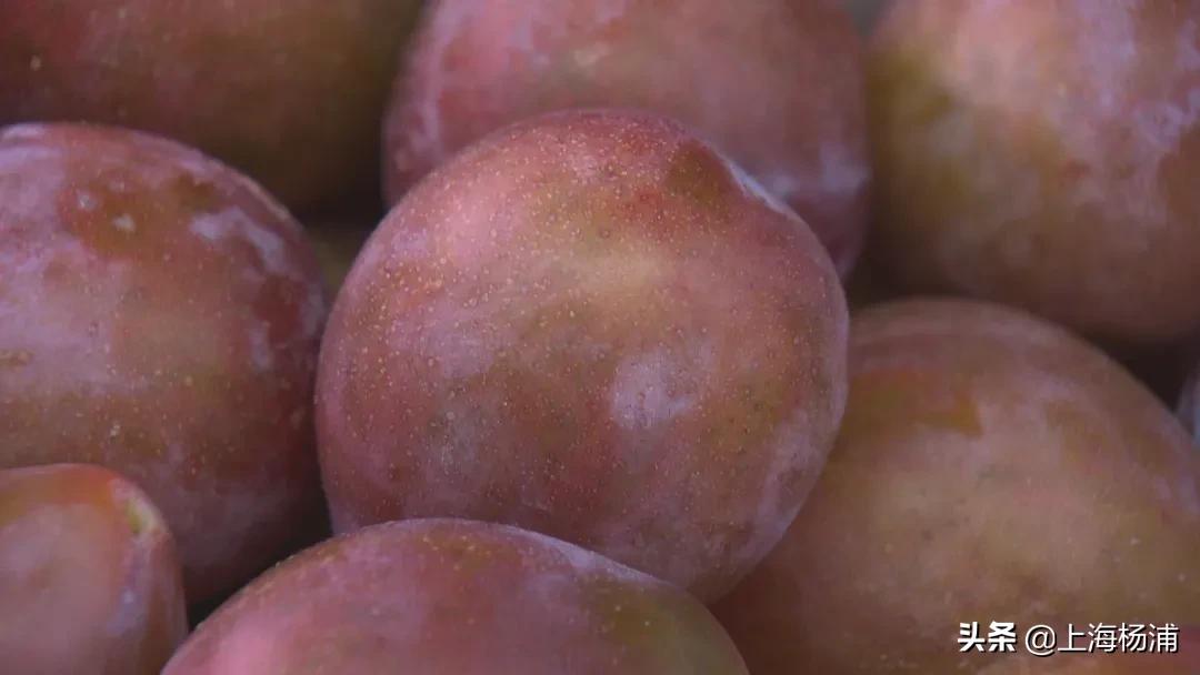 有哪些和草莓类似价格的平价水果,草莓贵族水果盘点