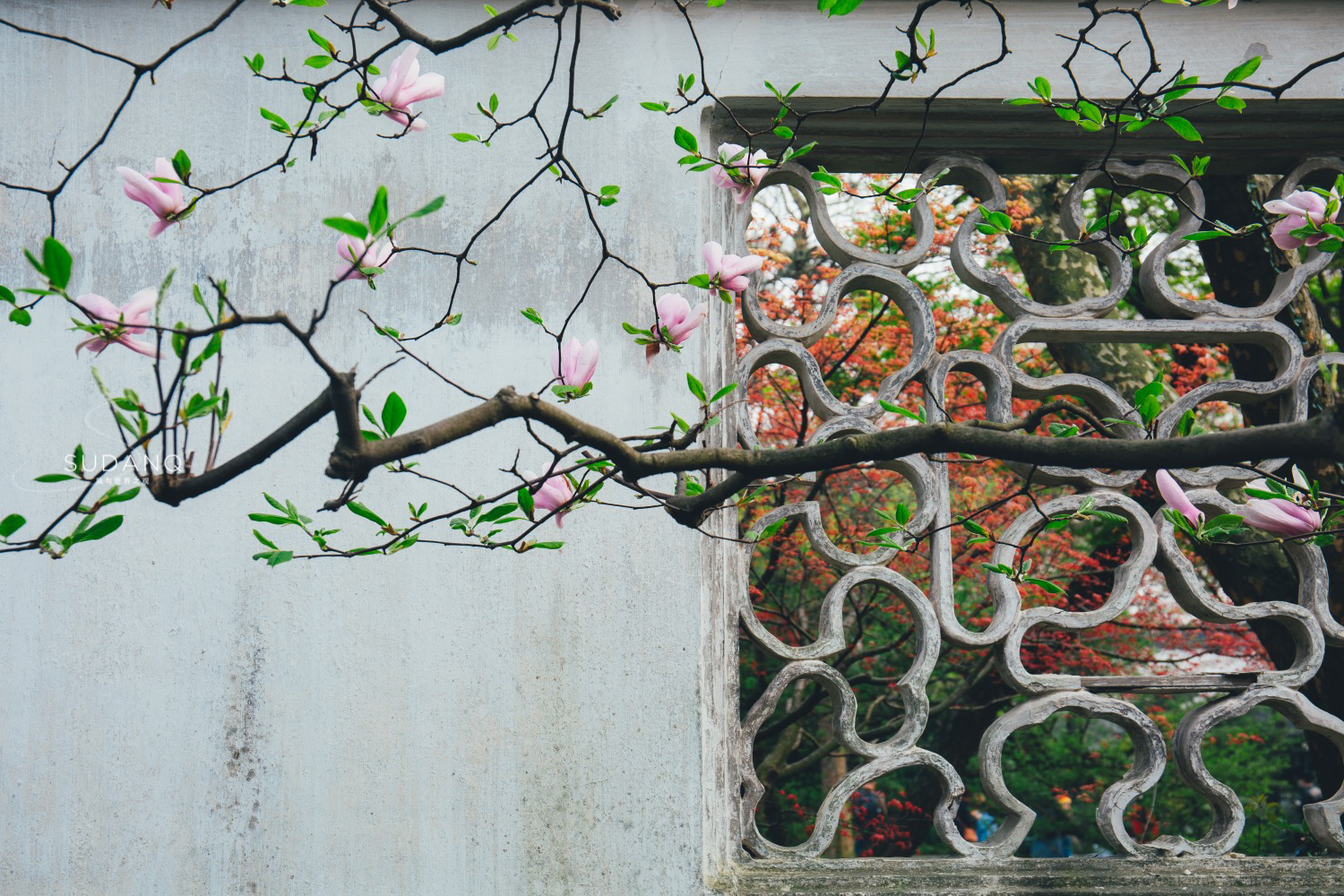 带你游美如仙境的苏州园林,人间最美苏州园林