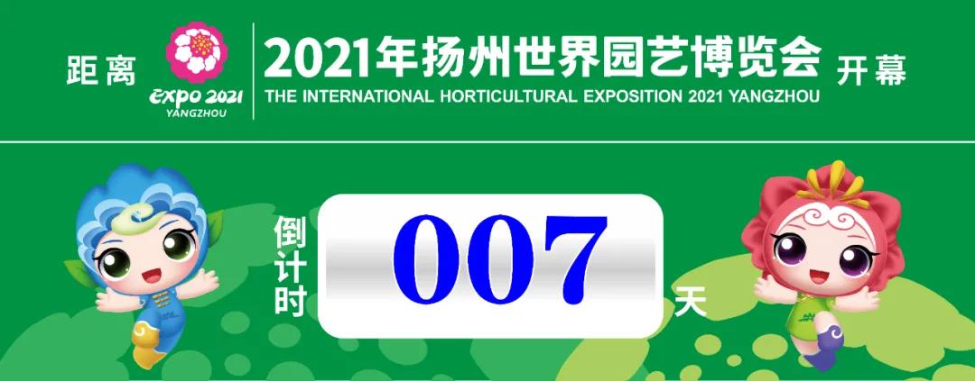 世园会攻略西安,世园会攻略详解