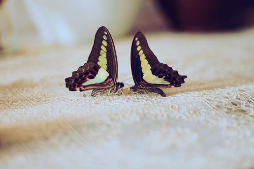 9个爆款标题模板直接套用,快速组合标题模板怎么用