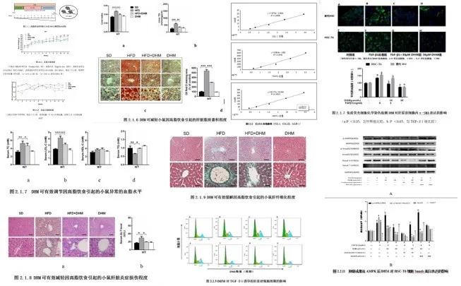 小学生科研达硕博水平,中小学生科研成果