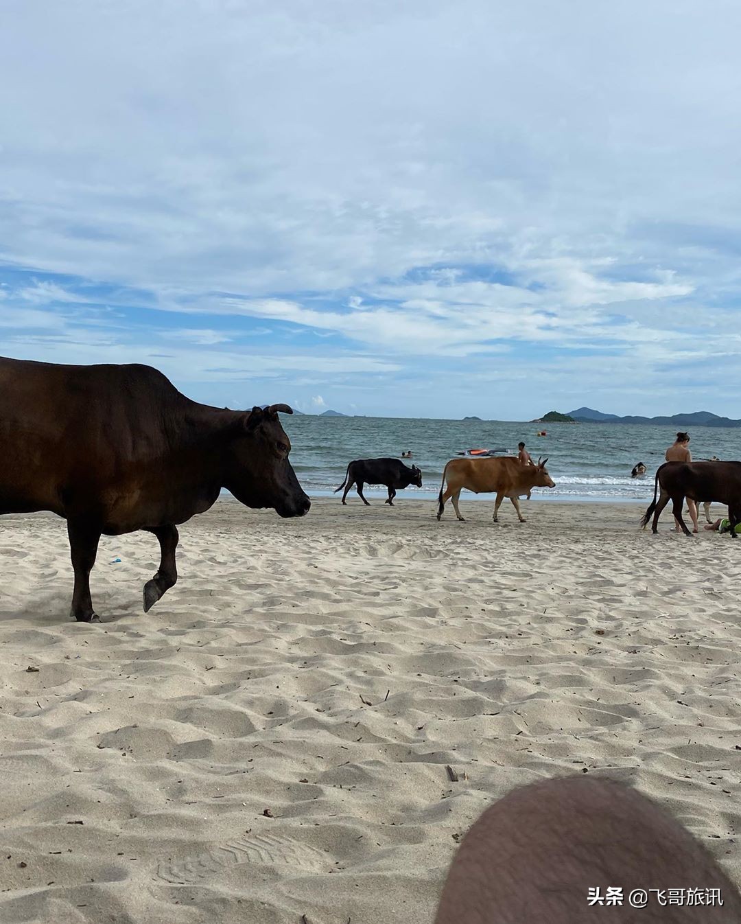 香港露营点,香港露营路线推荐