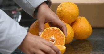 颜值爆表的丑八怪,无死角的丑八怪