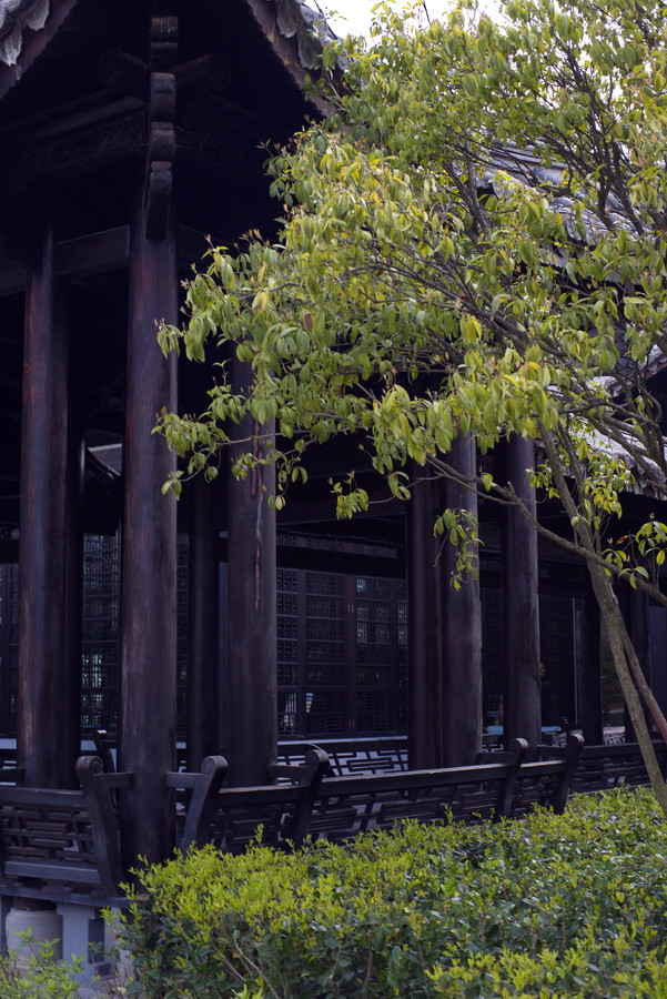 云南瑞丽攻略自由行,过年云南旅游攻略瑞丽