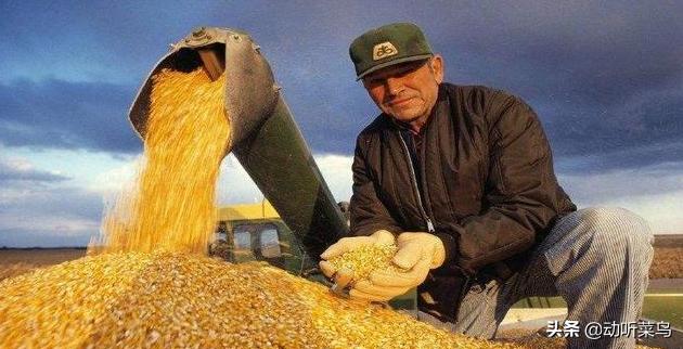 全球十大粮商资产排名,全球七大粮商集团有几家是中国的