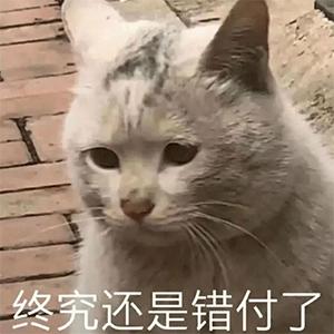 React技术栈详解学习,react技术栈入门篇