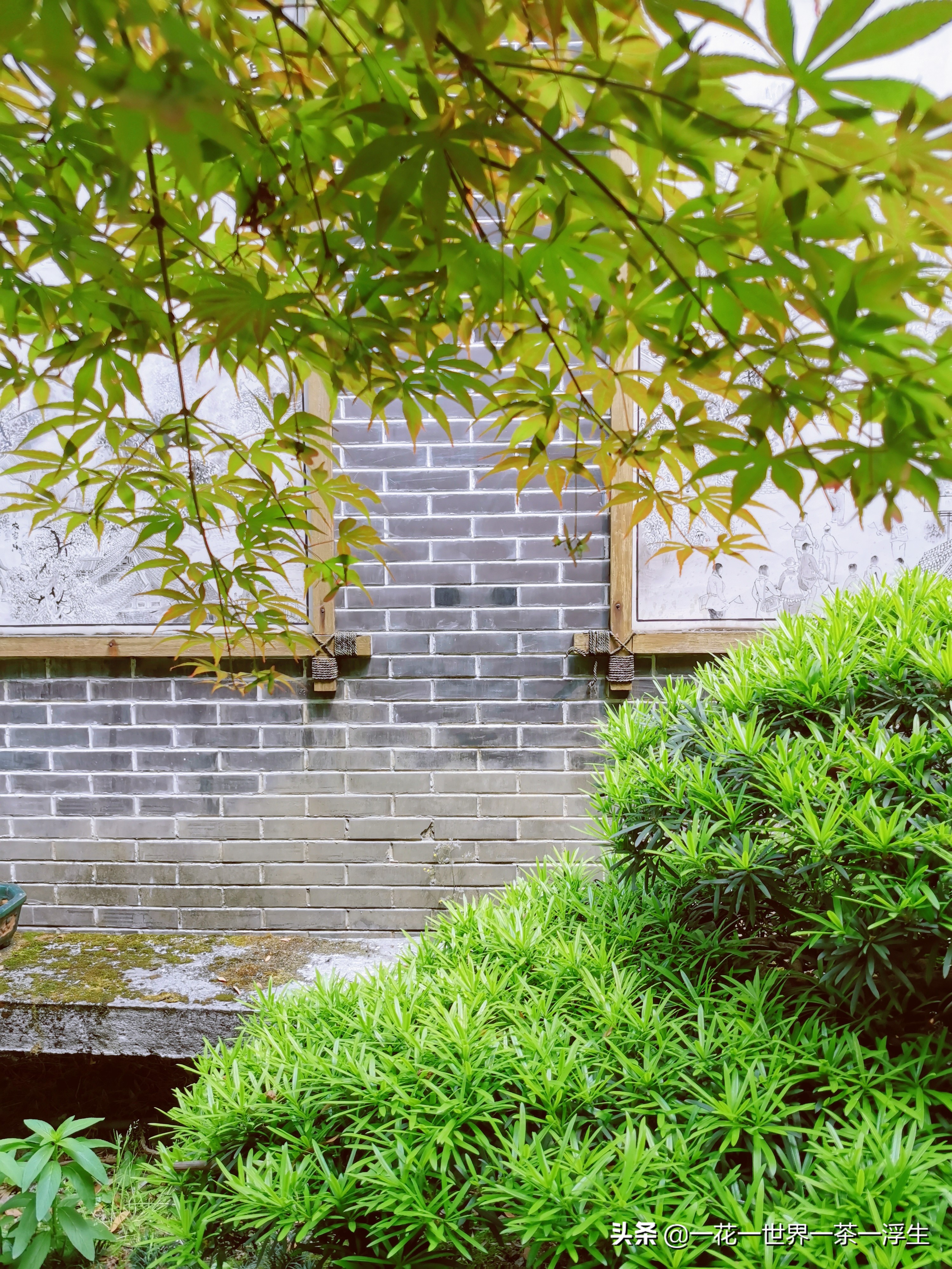 寻找巴适的成都小院（2）