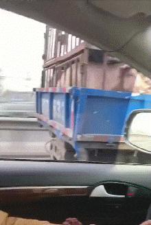 爆笑GIF动态图,爆笑gif图真正的危险总是悄然而至