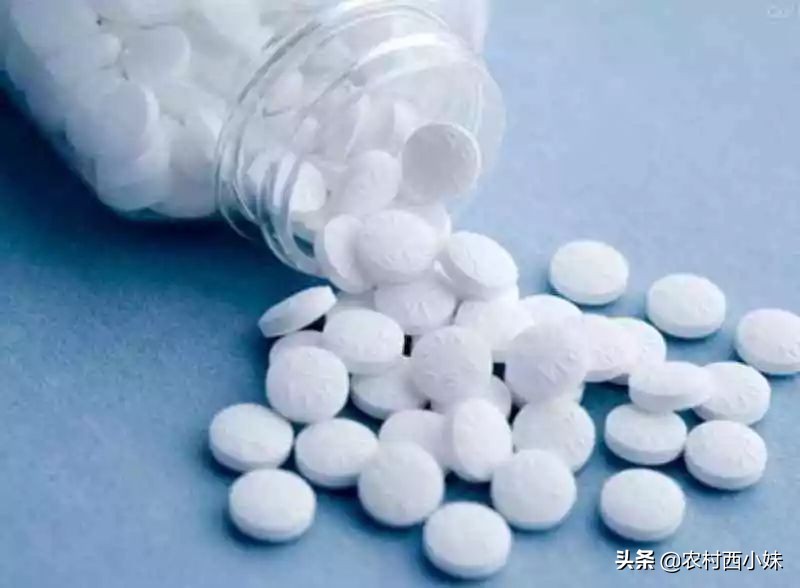 所有过期药片都能养花吗,过期土霉素药片养花