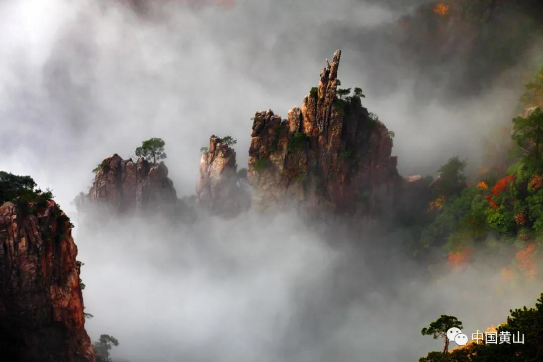 榛勫北绉嬪ぉ鎵撳崱,榛勫北绉嬪啲鎽勫奖澶ц禌
