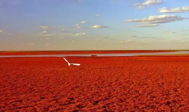 六月我们一起去旅行,九月带你去旅行