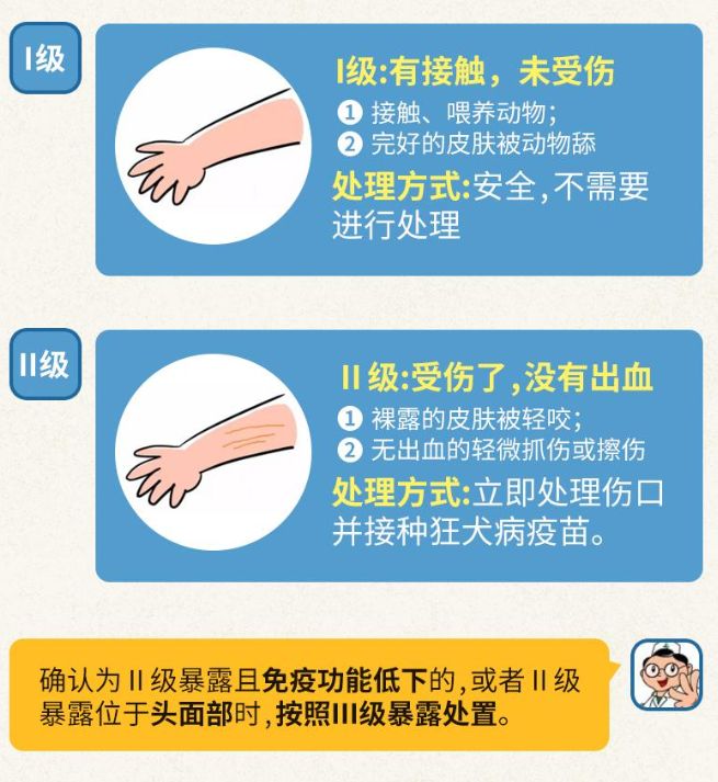 常见动物受伤,动物致伤门诊临床处置知识