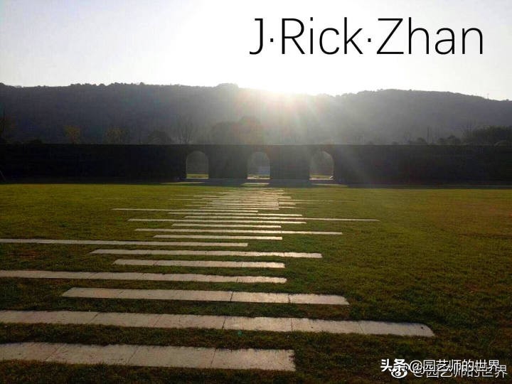 高尔夫果岭草坪家庭院子种植,麦冬草坪种植方法和注意事项