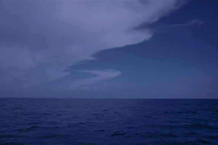 黄油相机超好看的滤镜,蓝调滤镜黄油相机