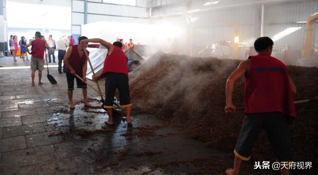 中小酒企崛起战略,中小酒企生存之路