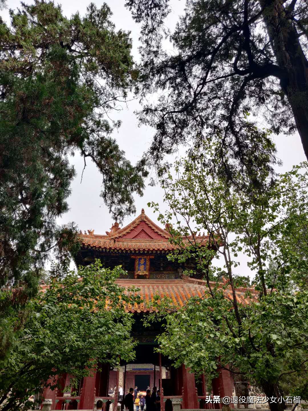 可移动的家Day12曲阜孔庙