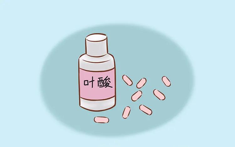 什么是叶酸吃叶酸有什么好处,哪些食物中有叶酸吃叶酸有什么用