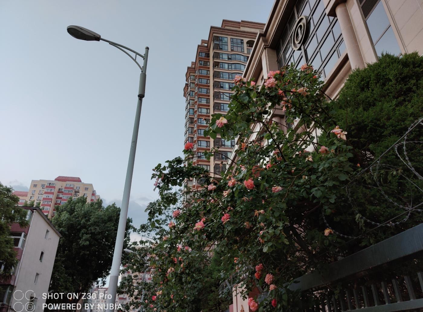 努比亚z30pro真的好用吗,努比亚z30pro什么时候能降到两千