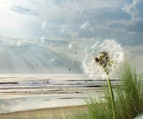 散文生活,散文简单活着就是人生的精致