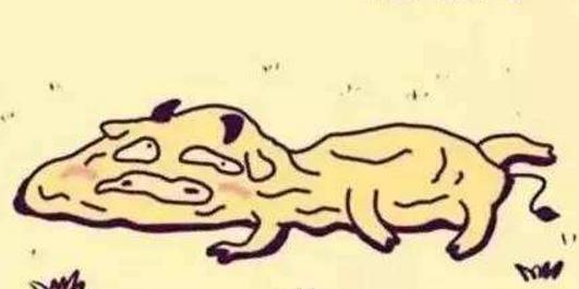 四大神兽和八大犊子,东北四大神兽谁最厉害