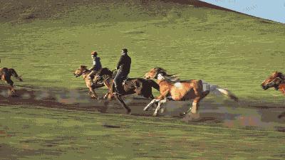 暑假内蒙古旅游攻略亲子,暑假亲子游玩内蒙古5天4夜