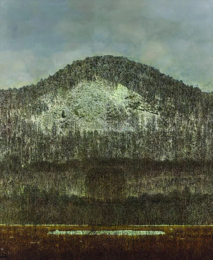 第十三届全国美展油画作品集,第十三届全国美术展油画作品集