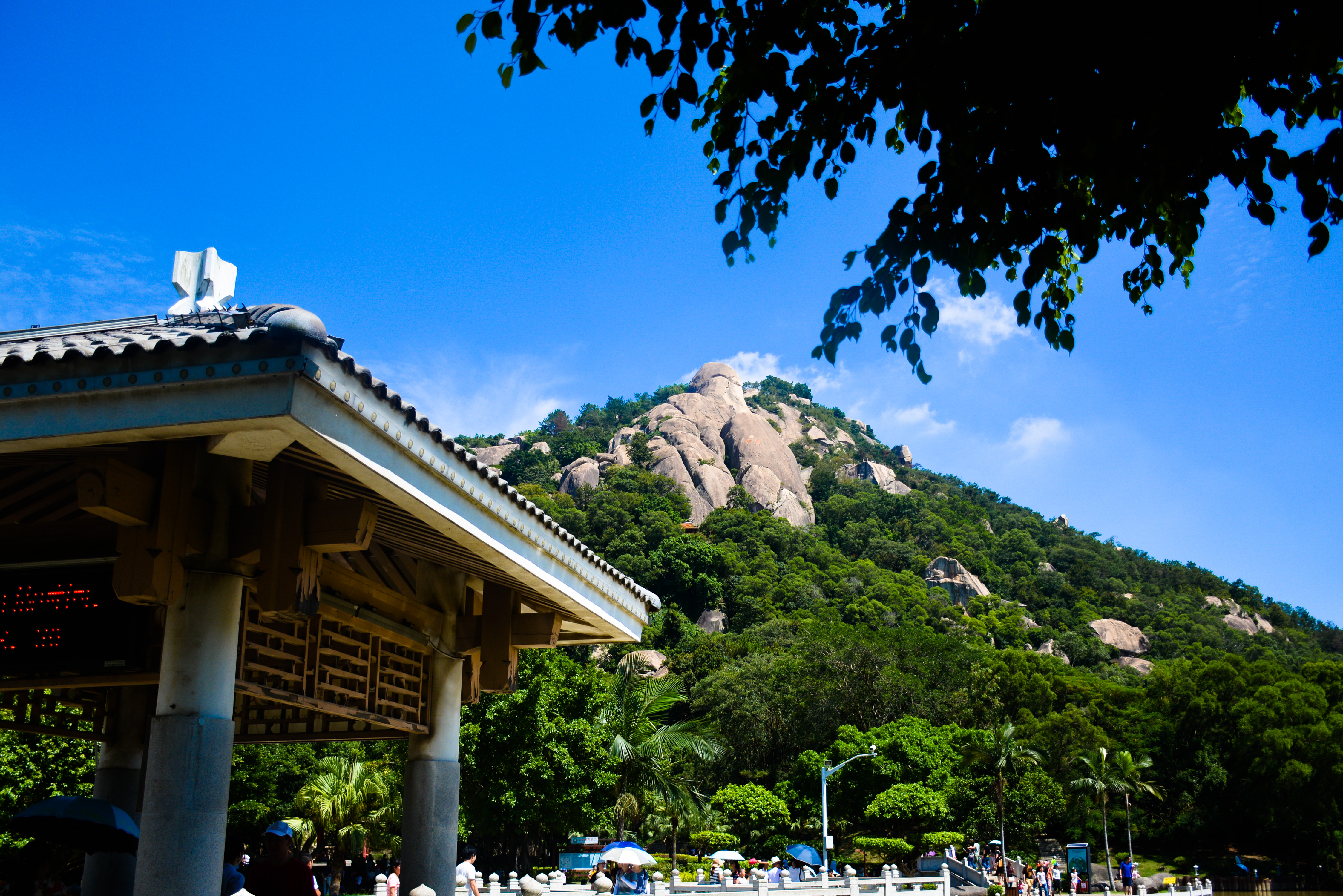 福建旅游景点免票景区,福建过年景区免票