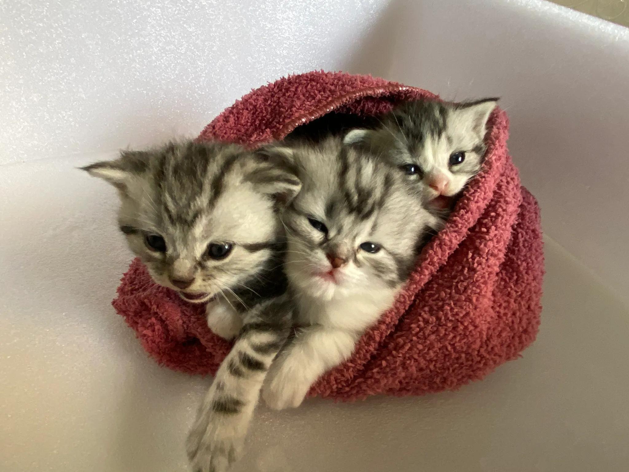 明天我的小屁屁要去深圳了