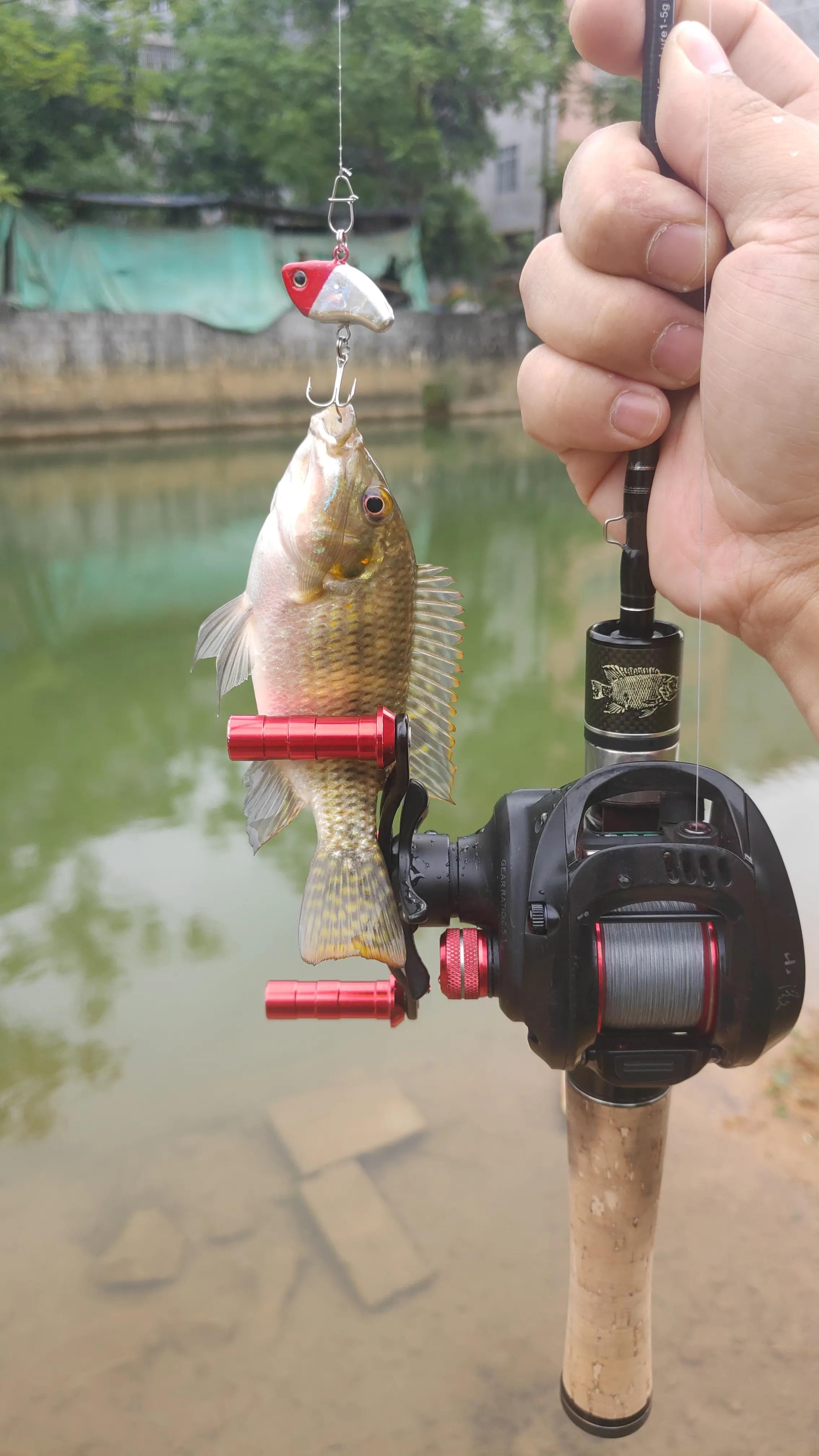 入门级黑坑路亚搭配推荐,入坑路亚都需要买哪些配件