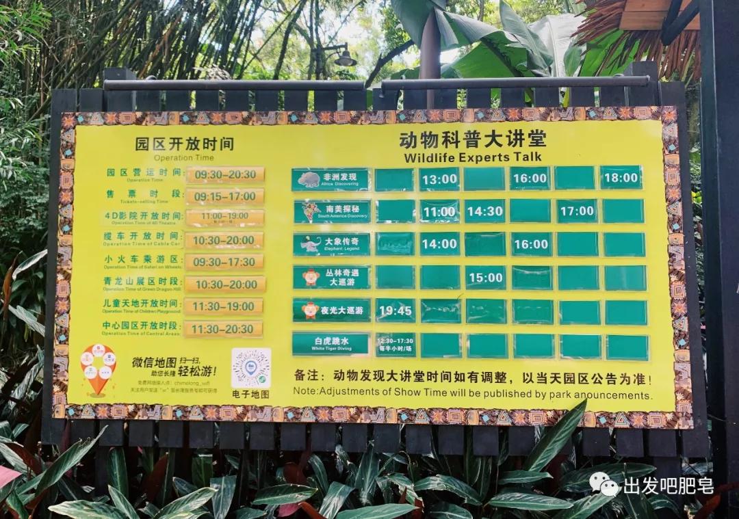 长隆飞鸟乐园长隆熊猫酒店怎么选,周一长隆野生动物园游玩攻略