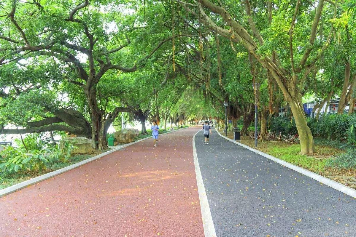 锐步irun4跑步机配置,锐步跑步机4.0t使用教程