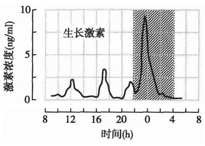 真正长高秘诀是什么,科学长高攻略