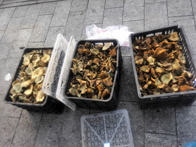 益阳市内有什么旅游景点好玩,湖南省益阳市旅游景点排名