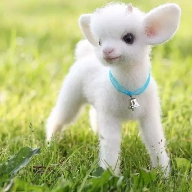 适合发说说的句子搞笑简短一点,很皮又很逗比的说说短句