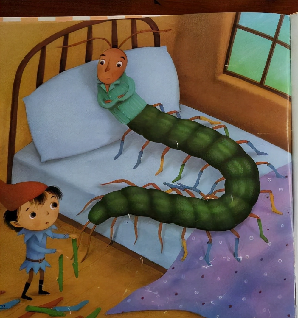 晚上在被子里发现蜈蚣,耳朵里取出蜈蚣