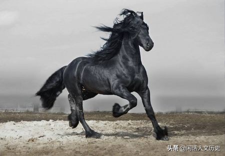 10分钟读完水浒传108将简介与结局,水浒传著名逼上梁山故事