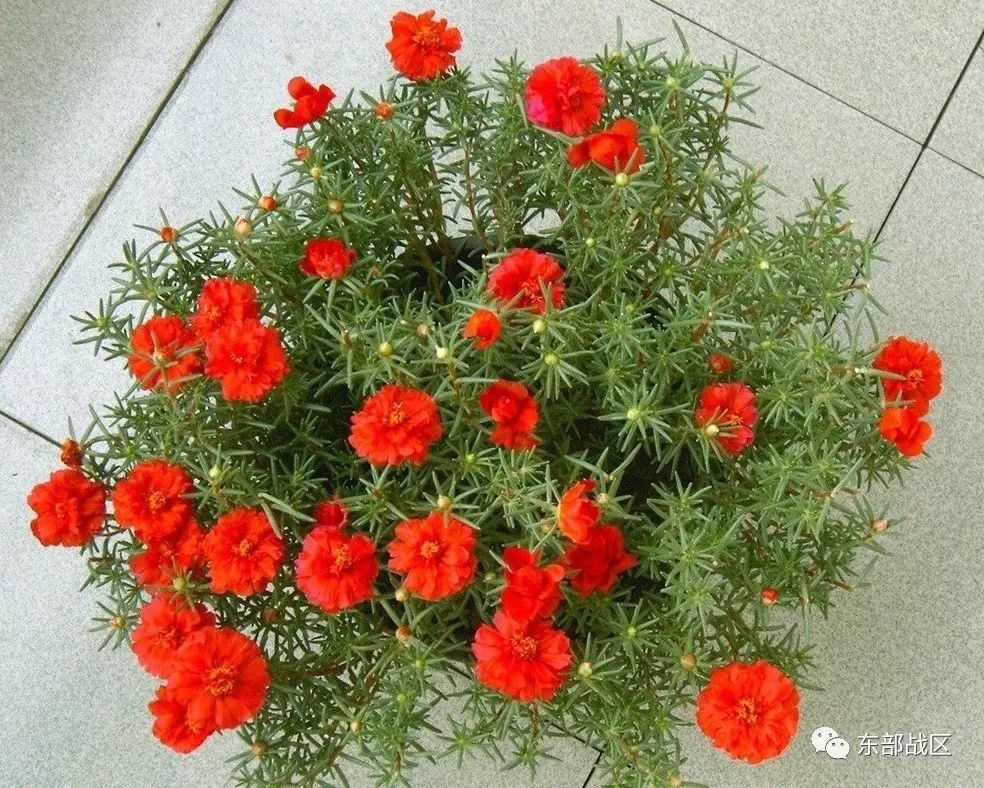 一封催人泪下的家书手写,一封家书感人完整版