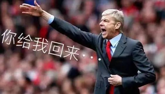 厄齐尔会导致什么损失,厄齐尔付出了什么代价