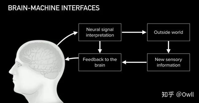 马斯克脑机评论,马斯克人脑接口让瘫痪的人站起来