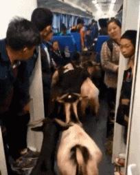 闺蜜生日送蛋糕还是送礼物呢,闺蜜过生日给他送什么零食好呢