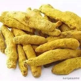 香料的正确使用方法和注意事项,卤水加桂皮的正确方法